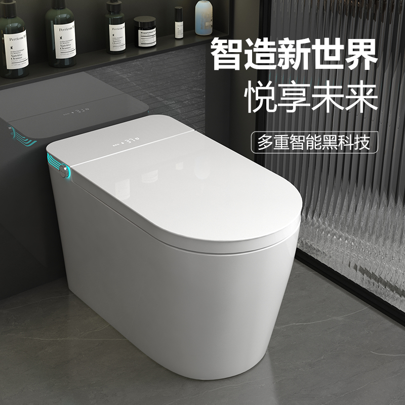 G8606 Smart toilet