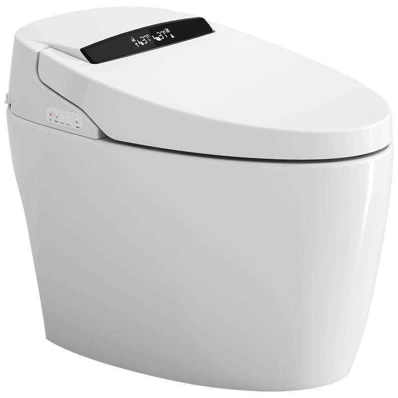 G608 Smart toilet