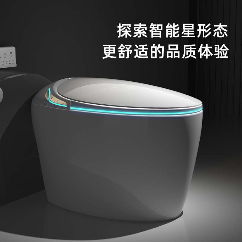 G8696 Smart toilet