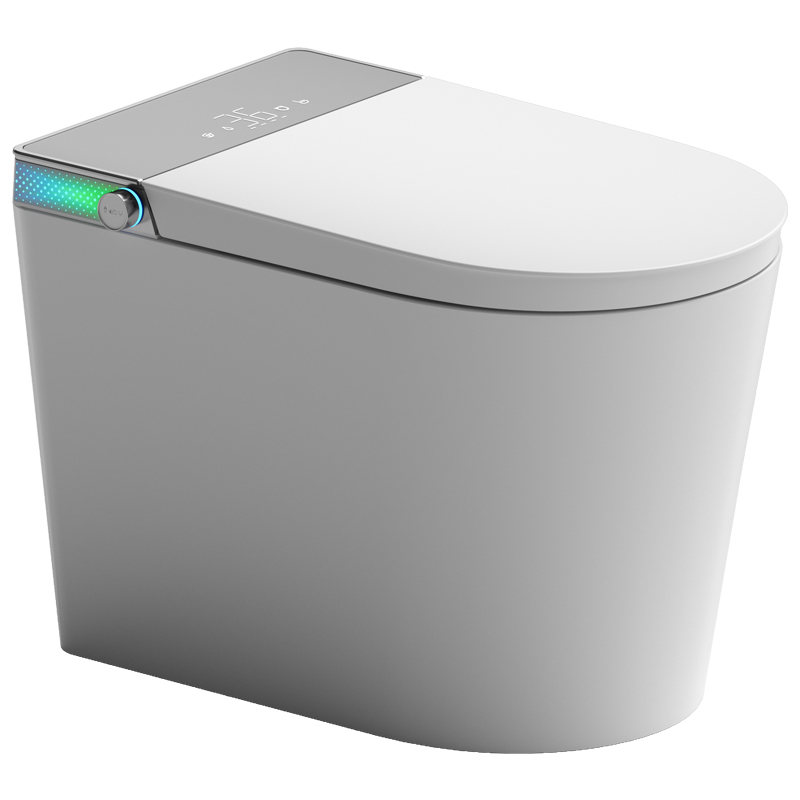 G580 Smart toilet