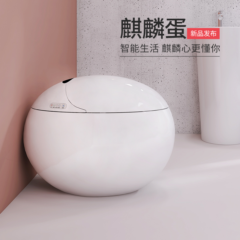 Q8 Smart toilet Egg toilet