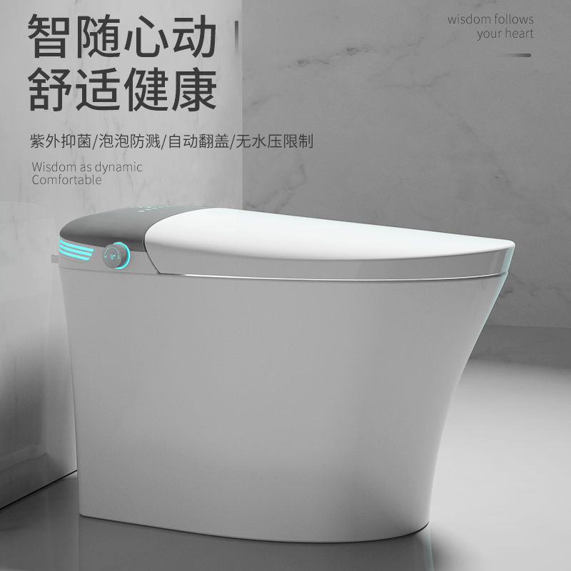 G616 Smart toilet